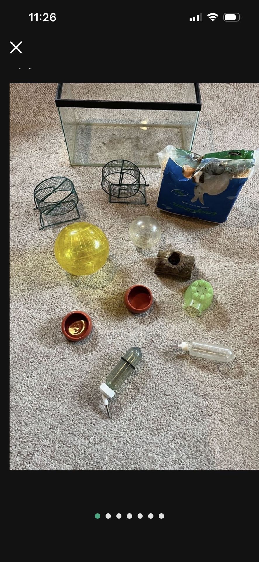 Hamster/Gerbil Supplies- All You See For 20.00 Dollars !!!