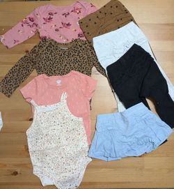 Baby Girl Clothing Bundle 6-12 months
