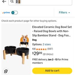 Elevated Ceramic Dog Bowl Set