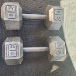 30lbs Dumbells Weights 