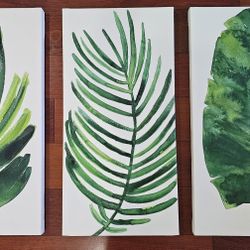 3 piece Canvas Art. 24x12 inches each piece