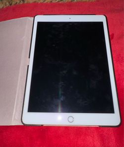 Rose gold Ipad with case