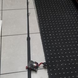 Fishing rod And Reel 