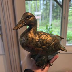 Golden Duck Decor