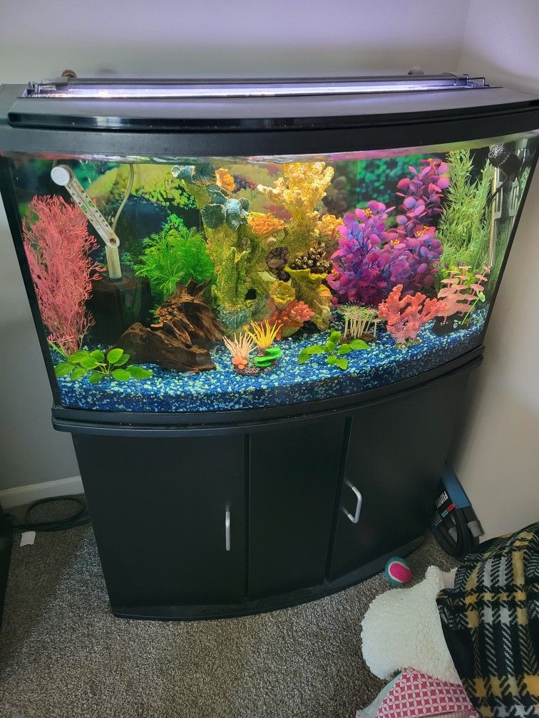 Fluval 45g Bow Front Aquarium 