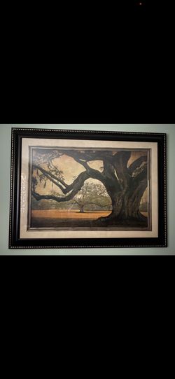  Oak tree . Framed  Print 