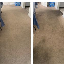 🎉🎊Carpet🎈😅cle@n🎊we Do 