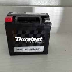 duralast battery platinum
