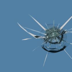 Windshield Questions? Results