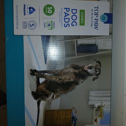 TOP PAW JUMBO DOG PADS (50) COUNT