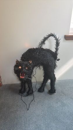 Halloween Cat