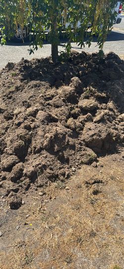 Free dirt in Lakewood