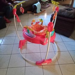 Fisher-price  Jumper 