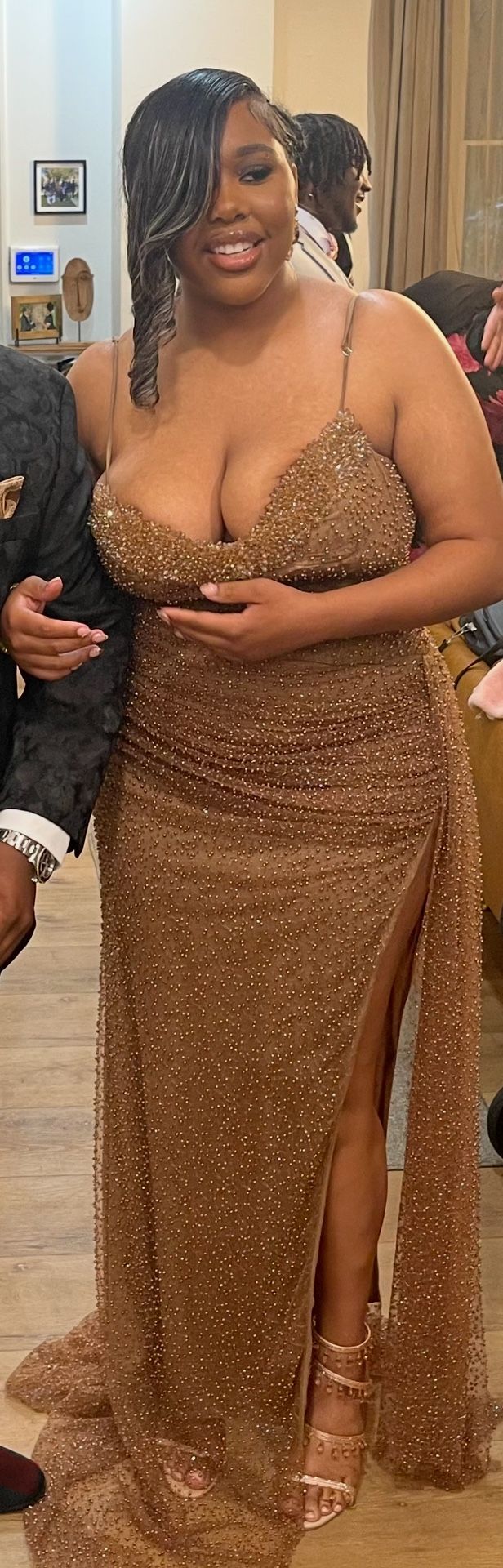 Bronze /Brown / Embellished Beaded Crystal Dress(Price Negotiable)
