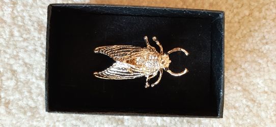 Gold-tone Cicada shaped insect pin