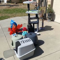 Cat Stuff Need Gone Asap 