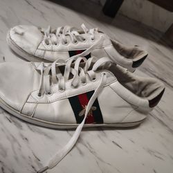 Tenis Gucci  #9