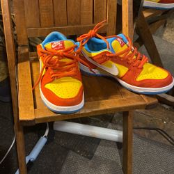 Nike Dunk Low Pro An