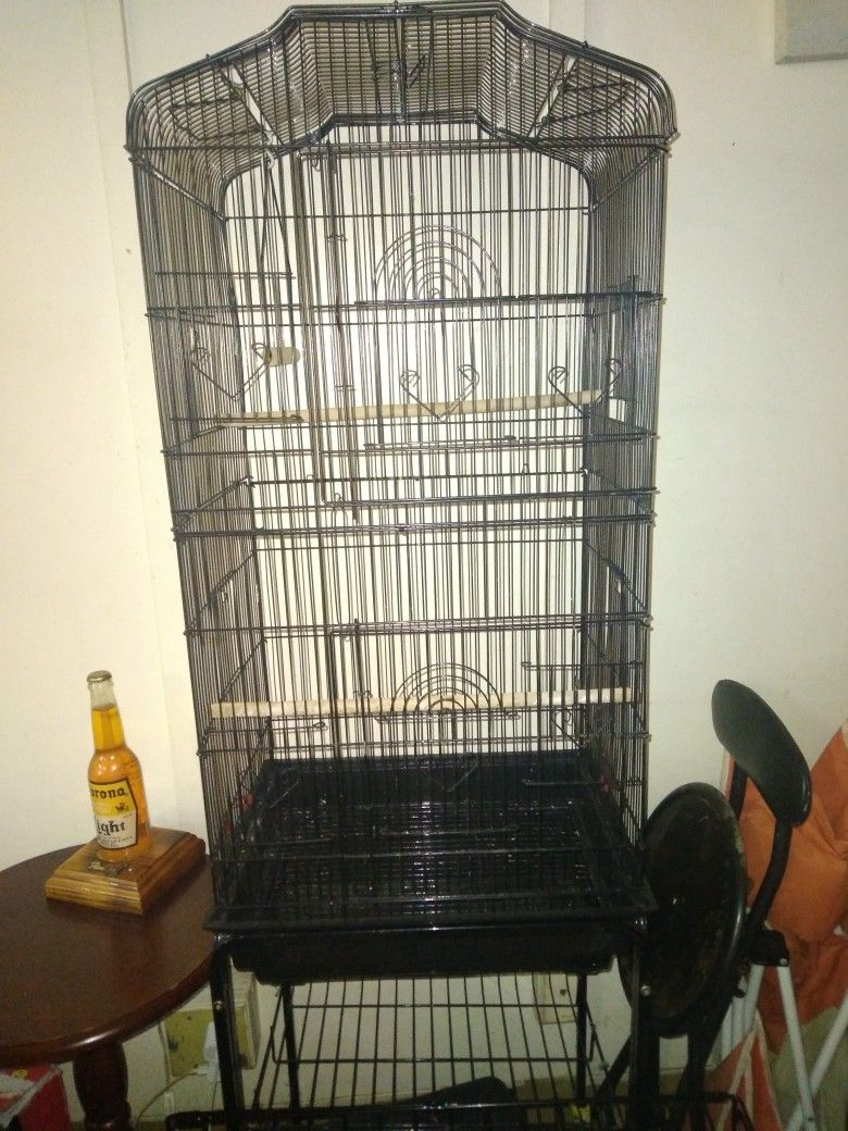 Bird Cage