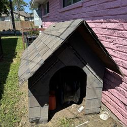 Dog House 