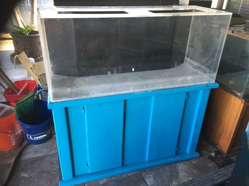 80 gallon aquarium fish tank