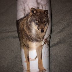 Wolf Tumbler 