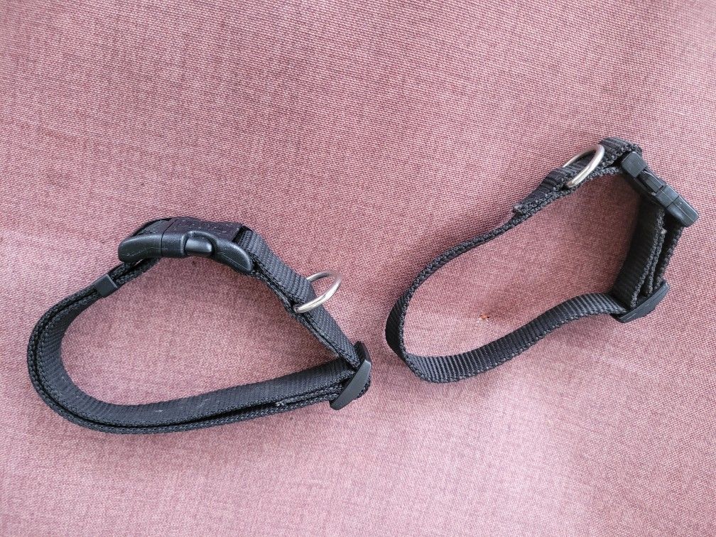 2 Black Dog Collars, Small Breed