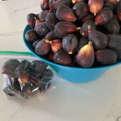 Fresh Figs (higos Frescos)