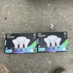 LED Light Bulbs