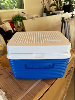 Mini ice chest