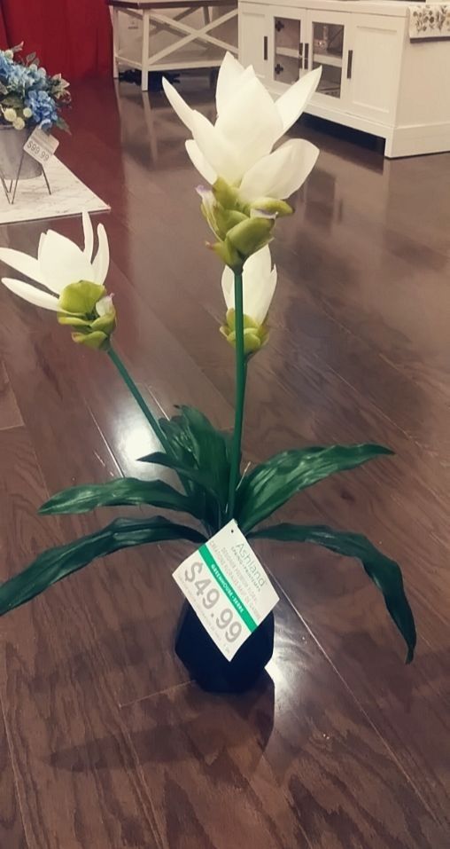 Decoration