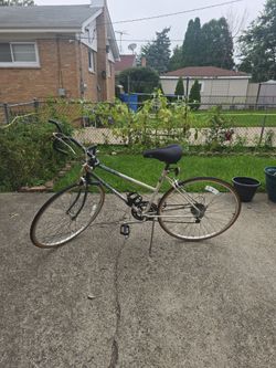 Adult Bike 26in