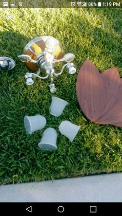 Beautiful Hunter Ceiling Fan with lights