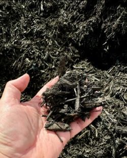 Black Dyed Mulch