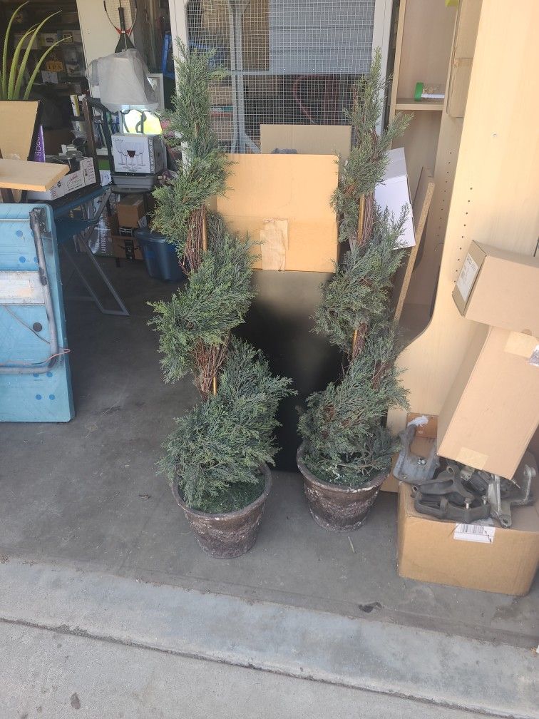 Fake Potted Topiary