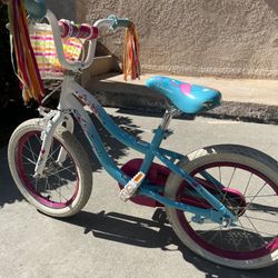 Kids Schwinn Bike 