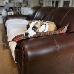 Lazy Boy Leather Brown Couch 