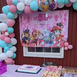 Paw Patrol Birthday Banner 