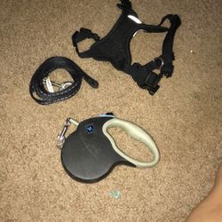Dog Leash, Harness
