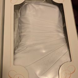 Wedding Dress And Veil 