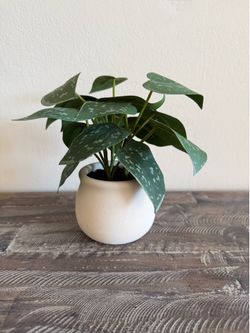 Faux Potted Plant - 7”