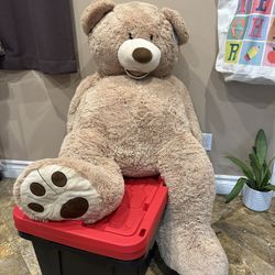 Giant Teddy Bear