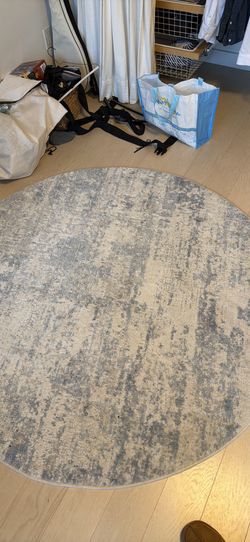 Circular Rug (bought for $100)