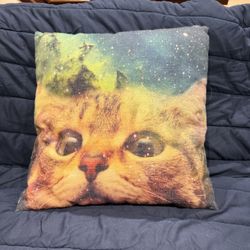 Cute Cat Cushion Pillow