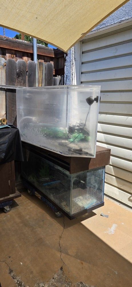 Corner Fish Tank Acrylic 80 Gal With Stand