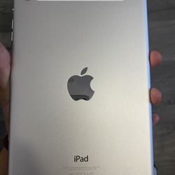 iPad Mini 2