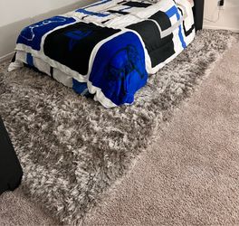 Grey Shaggy Area Rug