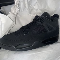 Black Cat “2025” DS