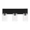 Hampton Bay Regan 21 in. 3-Light Matte Black Bathroom Vanity Light with Clear Glass Shades