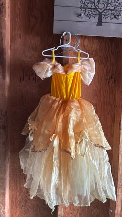 Princess Belle dress costume